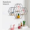 1850-group-2.jpg INS Style Metal Wall Hang Metal Decor Rack-Black
